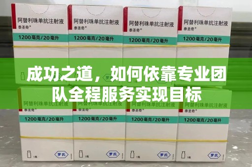 株洲成功之道，如何依靠专业团队全程服务实现目标