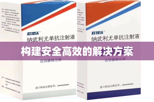 株洲构建安全高效的解决方案
