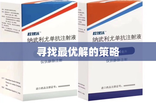 株洲寻找最优解的策略